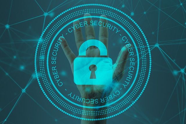 Sécurité des données en 2025 : protéger ses informations personnelles à l’ère du numérique